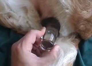 Animal loving dude toys his dog with a dildo and enjoys the process