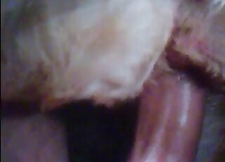 Closeup vid of a crazy pervert giving a shitless fuck to his horny animal