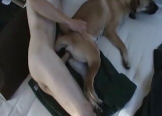 Skinny guy with long legs fucking a horny animal sideways in zoo XXX