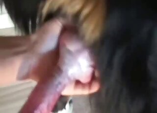 مهارات الرجل في ممارسة العادة السرية لا مثيل لها وهو يهز قضيب الكلب من وجهة نظر الشخص الآخر