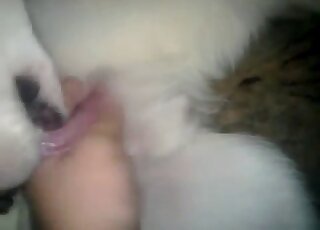 Nasty zoophilia POV scene featuring a guy that wants hard fingering