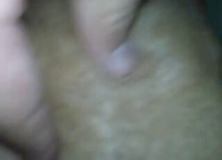 جلسة سيطرة عن قرب مع حيوان مثير يريد الوصول إلى النشوة الجنسية