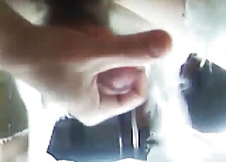 رجل يمارس العادة السرية مع هذا الكلب في فيلم إباحي عن قرب