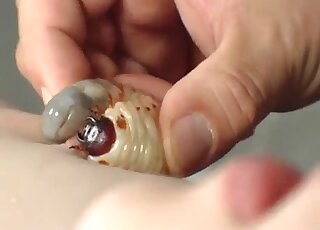 Nasty zoophilia video with snail for a brunette babe